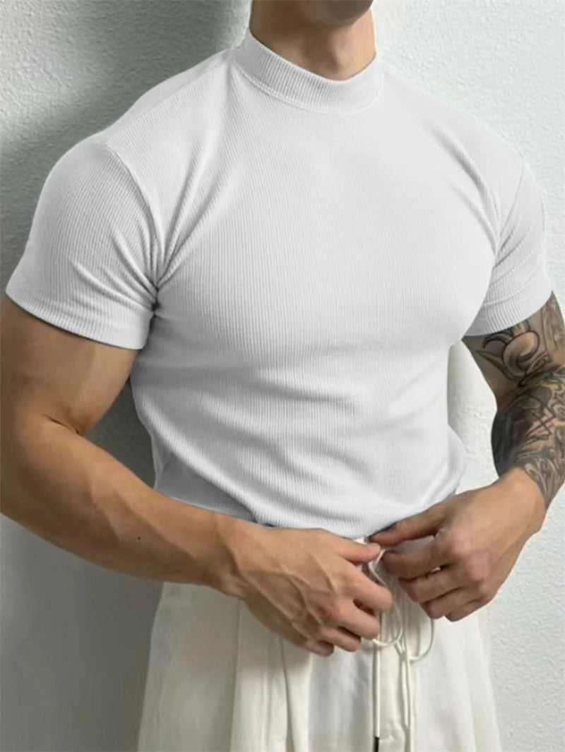 spring summer fashion Men's T-shirt Small high collar stripe shirt/short sleeve fitness top leisure sport T-shirt Men sportswear