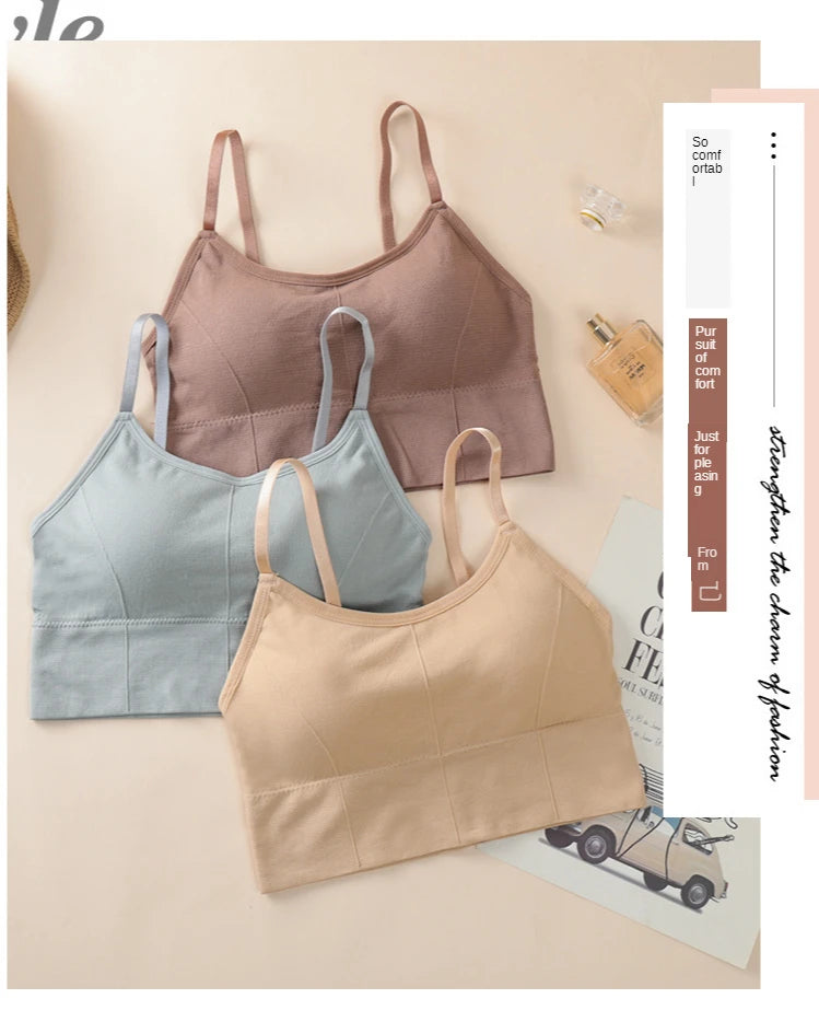 Seamless Bras Women Sports Bra Gym Running Push Up Bralette Padded/Vest Elastic Brassiere Women Fitness Gym Underwear Bra Top