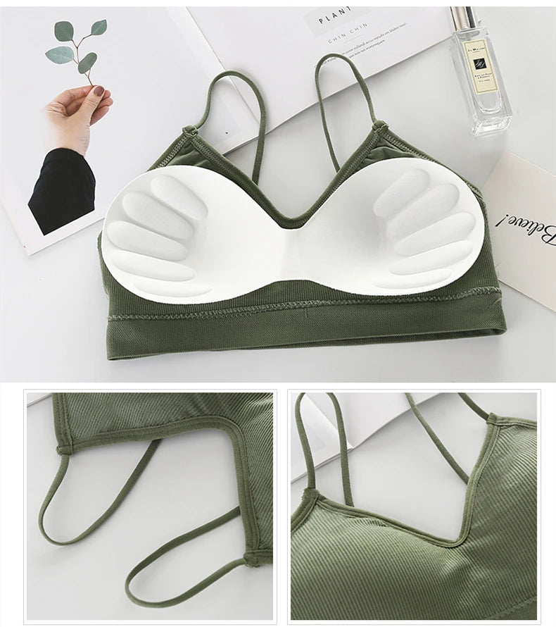 Seamless Bras Women Sports Bra Gym Running Push Up Bralette Padded/Vest Elastic Brassiere Women Fitness Gym Underwear Bra Top