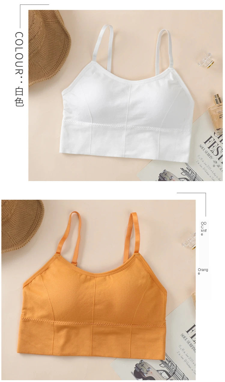 Seamless Bras Women Sports Bra Gym Running Push Up Bralette Padded/Vest Elastic Brassiere Women Fitness Gym Underwear Bra Top