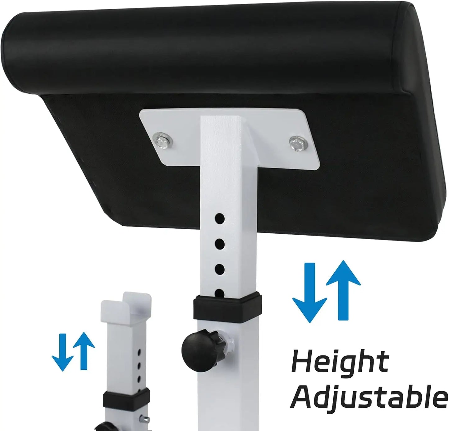 Preacher Curl Weight Bench Adjustable for Arm Curling Strength Training/Isolated Barbell Dumbbell Bicep Triceps Muscle Seated Ben