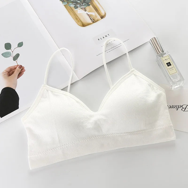 Seamless Bras Women Sports Bra Gym Running Push Up Bralette Padded/Vest Elastic Brassiere Women Fitness Gym Underwear Bra Top