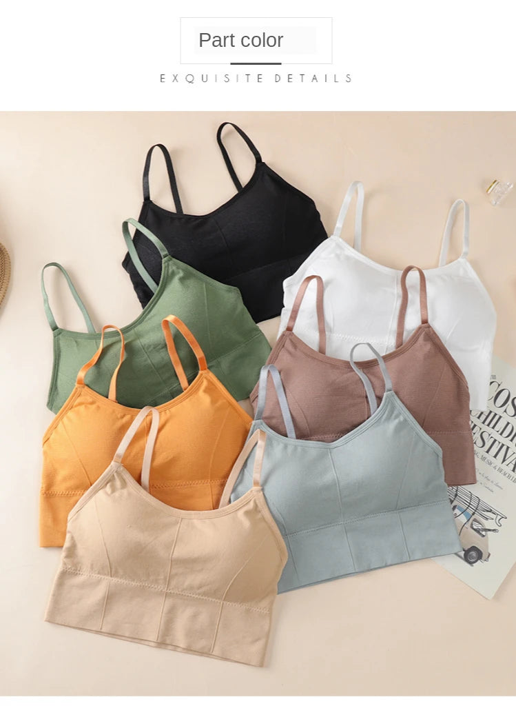 Seamless Bras Women Sports Bra Gym Running Push Up Bralette Padded/Vest Elastic Brassiere Women Fitness Gym Underwear Bra Top
