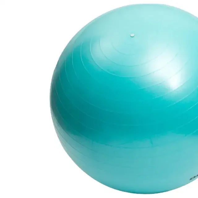 65cm Big PVC Fitness Yoga Ball for Home Gym Pilates/Thickened & Explosion-proof Exercise Equipment for Balance Training