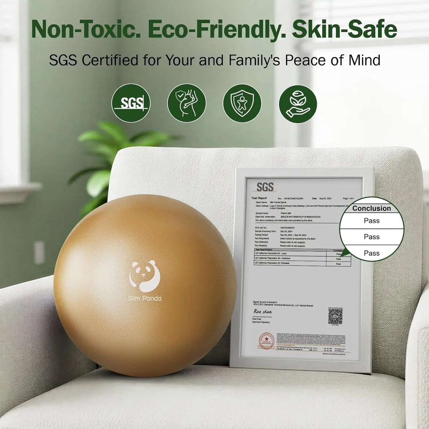 9 Inch Mini Exercise Ball, Anti Burst Pilates Ball/for Yoga Stability Core Strength Physical Therapy