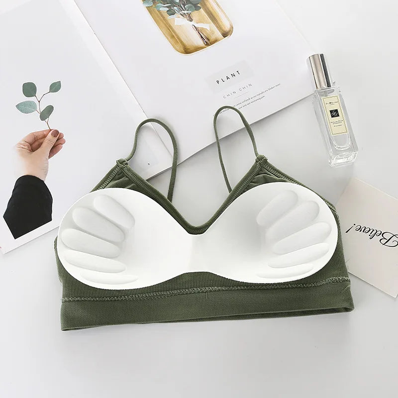 Seamless Bras Women Sports Bra Gym Running Push Up Bralette Padded/Vest Elastic Brassiere Women Fitness Gym Underwear Bra Top
