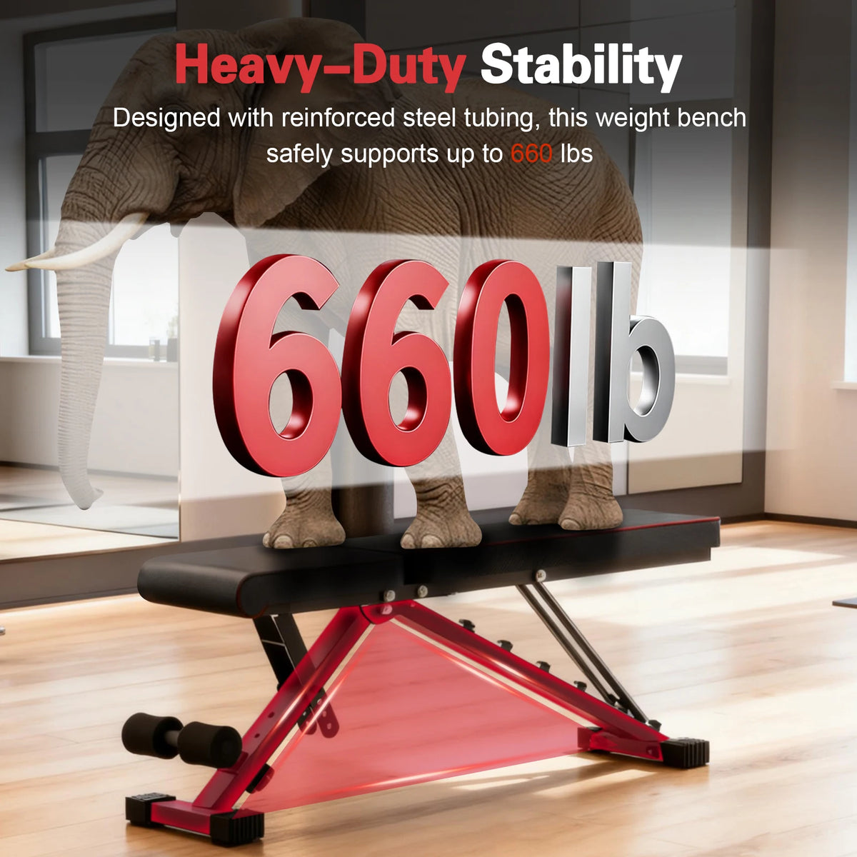 Multifunctional Dumbbell Bench Adjustable Foldable Weight Bench/Abdominal Waist Fitness 660LBS Capacity for Home Gym 6-Position Bench