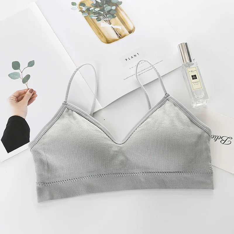 Seamless Bras Women Sports Bra Gym Running Push Up Bralette Padded/Vest Elastic Brassiere Women Fitness Gym Underwear Bra Top