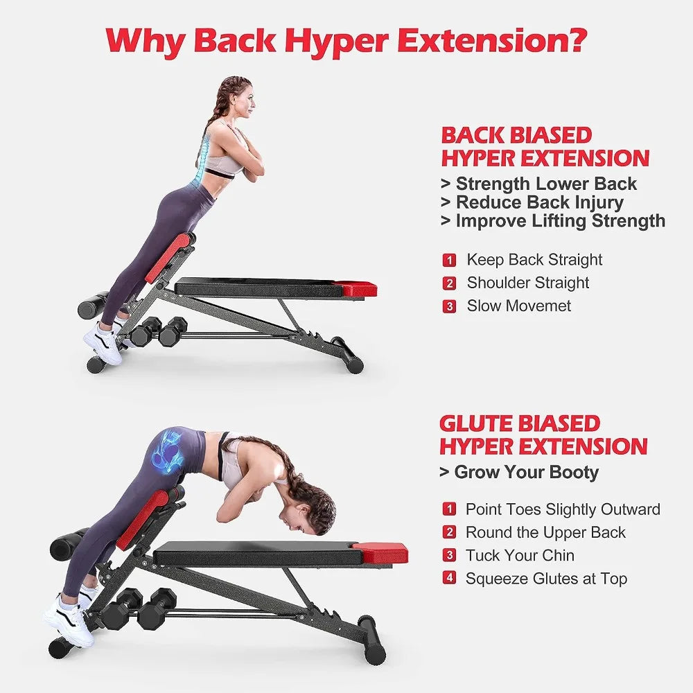 Multi-Functional Adjustable Weight Bench/for Total Body Workout Hyper Back Extension