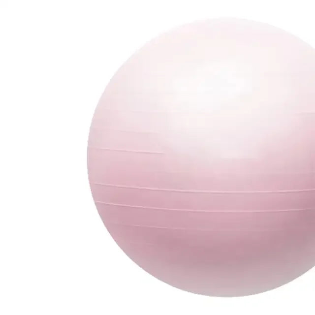 65cm Big PVC Fitness Yoga Ball for Home Gym Pilates/Thickened & Explosion-proof Exercise Equipment for Balance Training