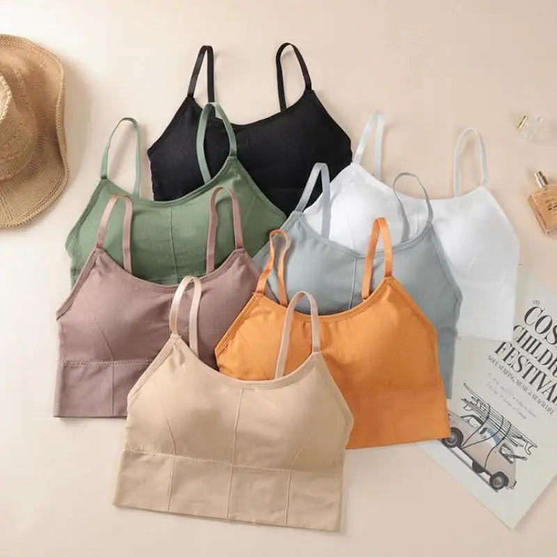 Seamless Bras Women Sports Bra Gym Running Push Up Bralette Padded/Vest Elastic Brassiere Women Fitness Gym Underwear Bra Top