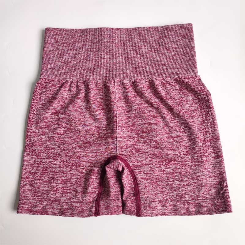 Nepoagym 7 Colors Vital Seamless Shorts/10CM Inseam Women Yoga Shorts